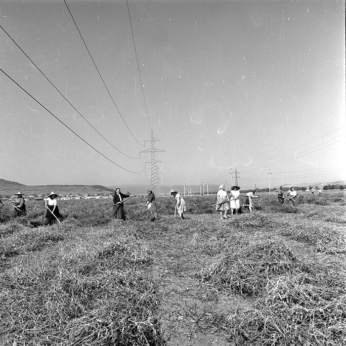 minerva_1985_c2_c2r4_028