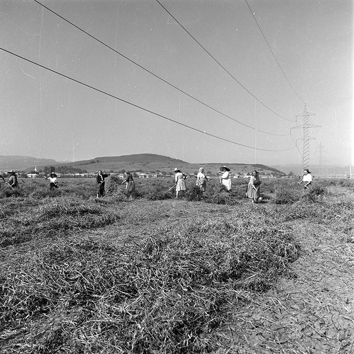 minerva_1985_c2_c2r4_030