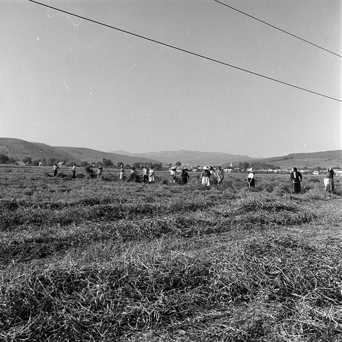 minerva_1985_c2_c2r4_031