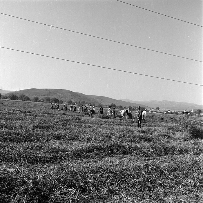 minerva_1985_c2_c2r4_032