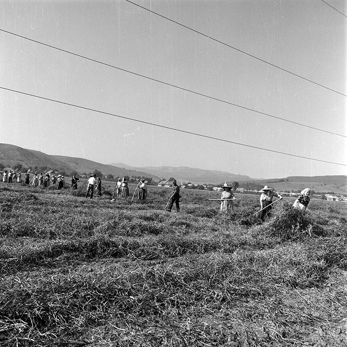 minerva_1985_c2_c2r4_033