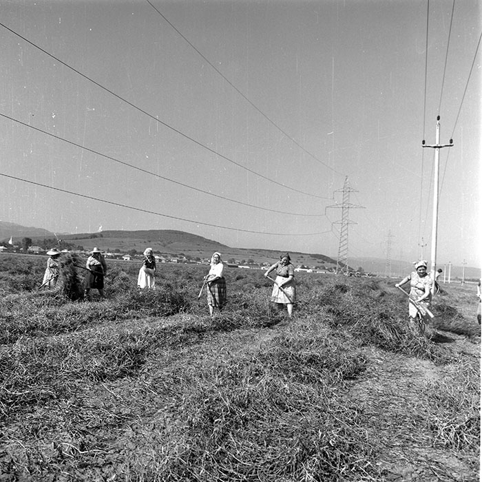 minerva_1985_c2_c2r4_034