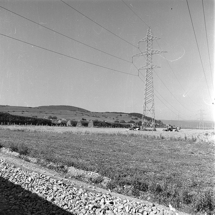 minerva_1985_c2_c2r4_036