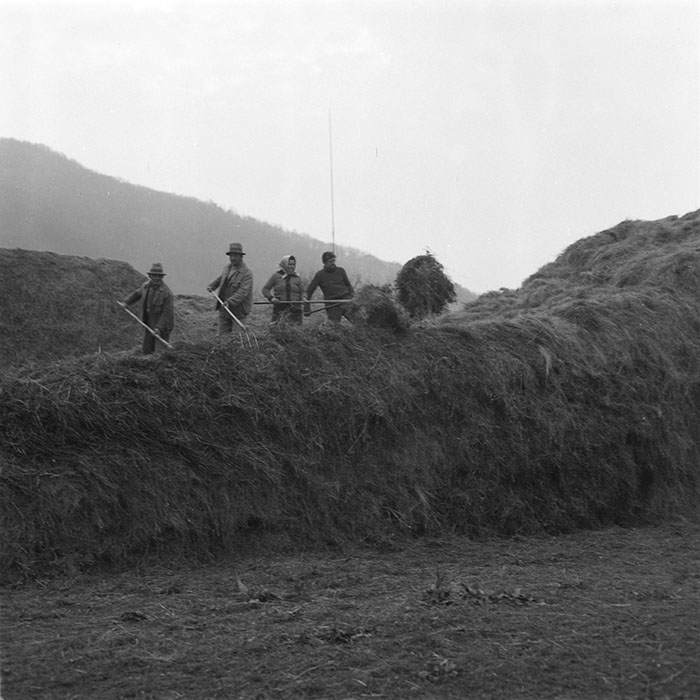 minerva_1985_c2_c3r1_001