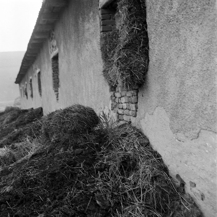 minerva_1985_c2_c3r1_003