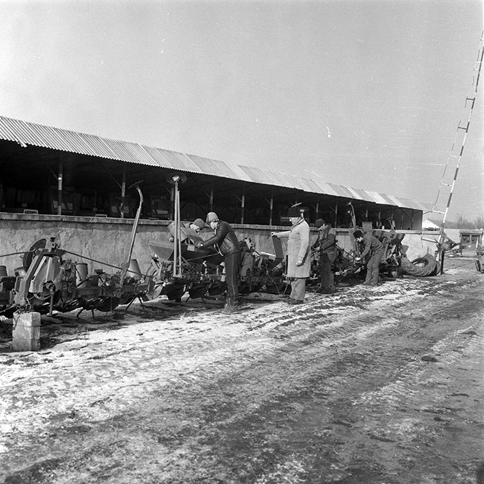 minerva_1985_c2_c3r1_008