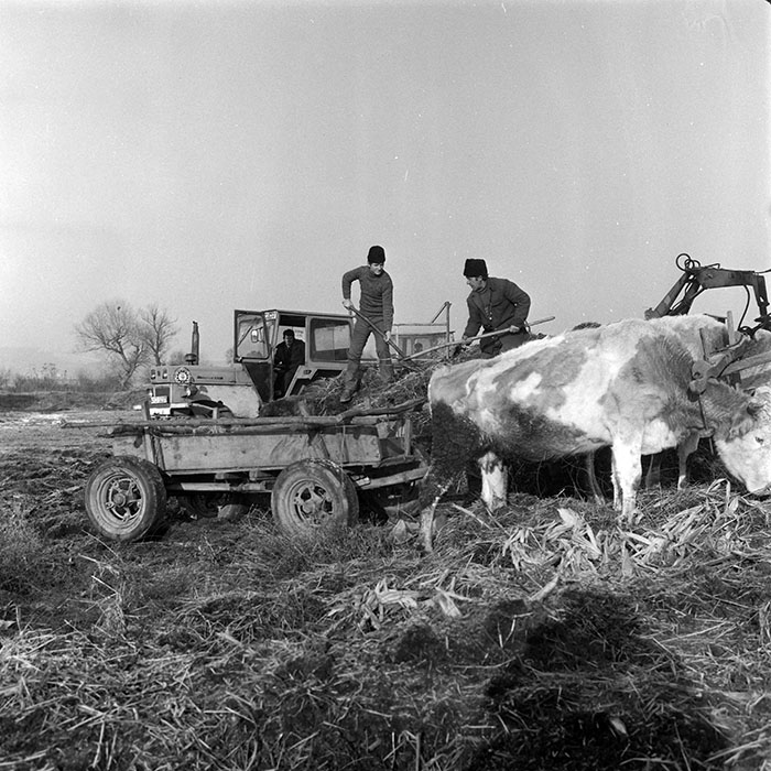 minerva_1985_c2_c3r1_010