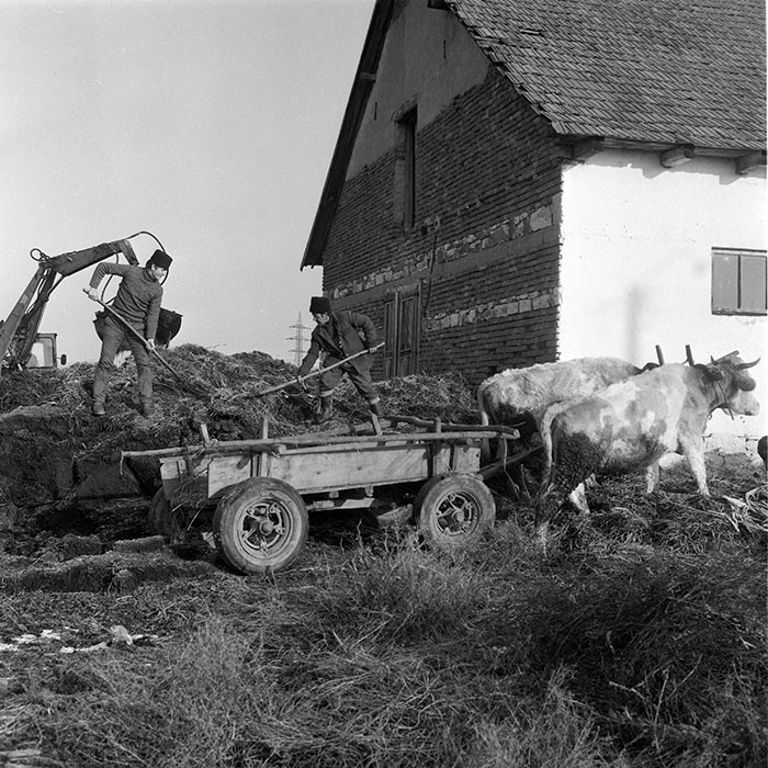 minerva_1985_c2_c3r1_011