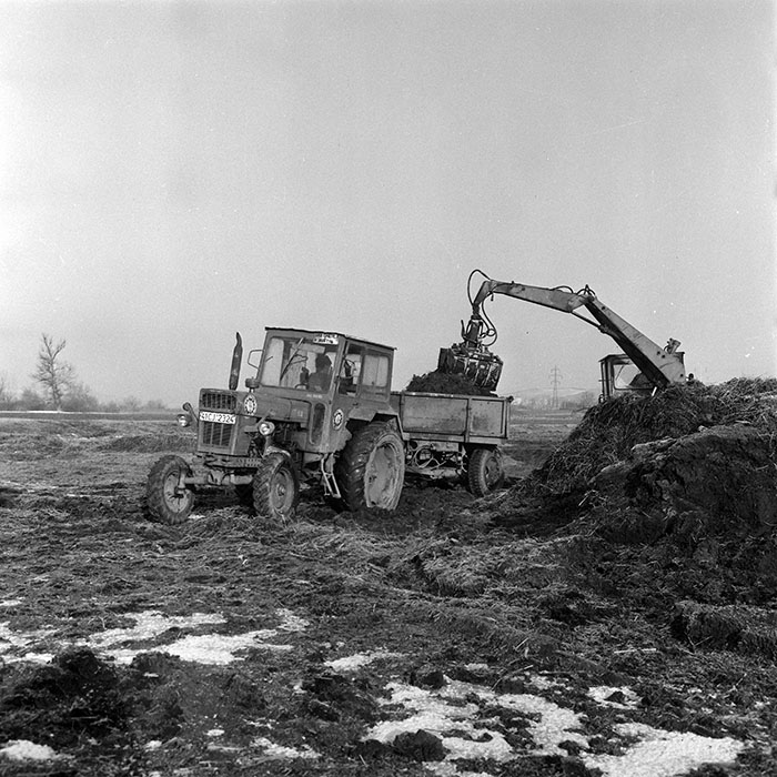 minerva_1985_c2_c3r1_012