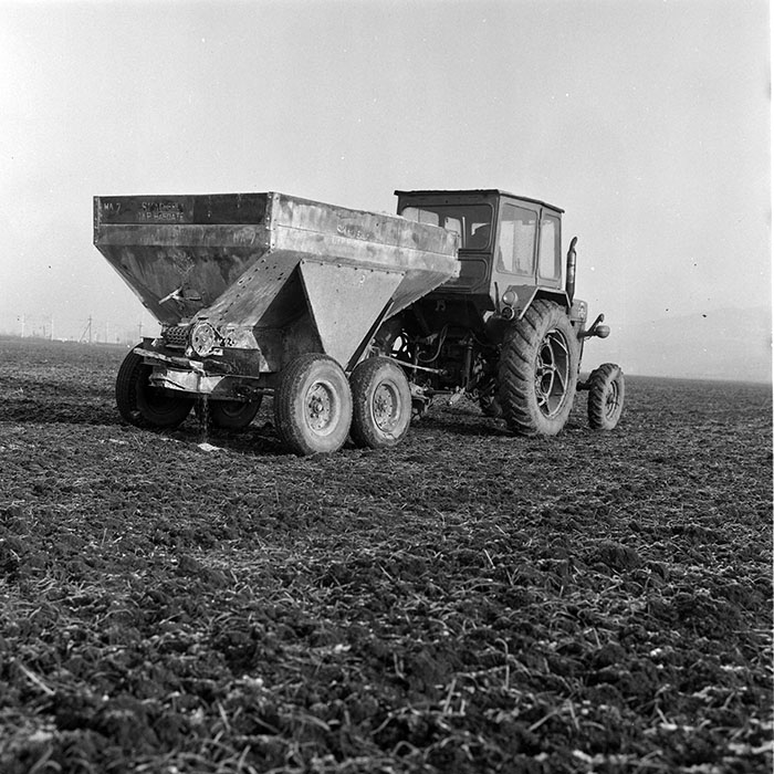 minerva_1985_c2_c3r1_013