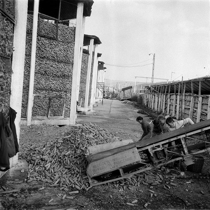 minerva_1985_c2_c3r1_016