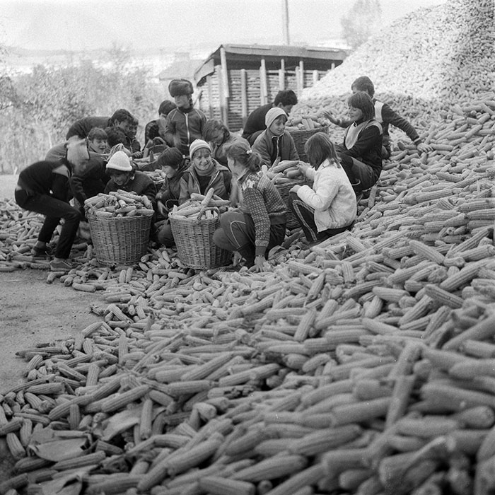 minerva_1985_c2_c3r1_018