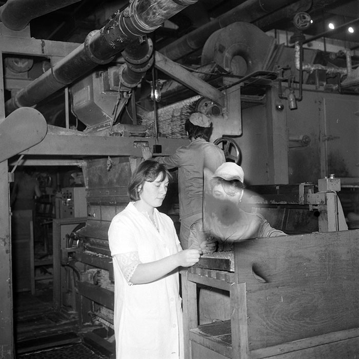 minerva_1985_c2_c3r1_026