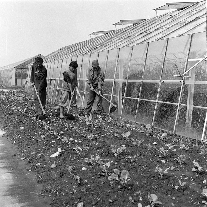 minerva_1985_c2_c3r1_028