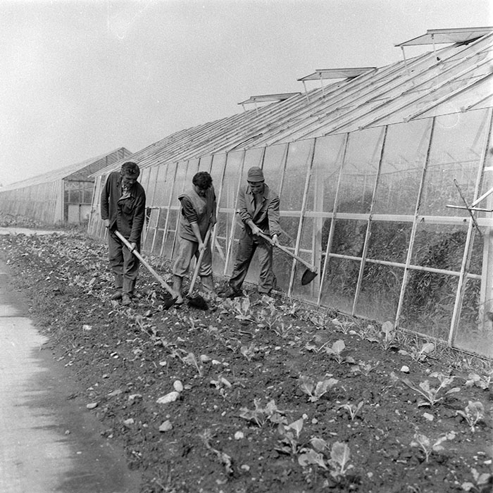 minerva_1985_c2_c3r1_029