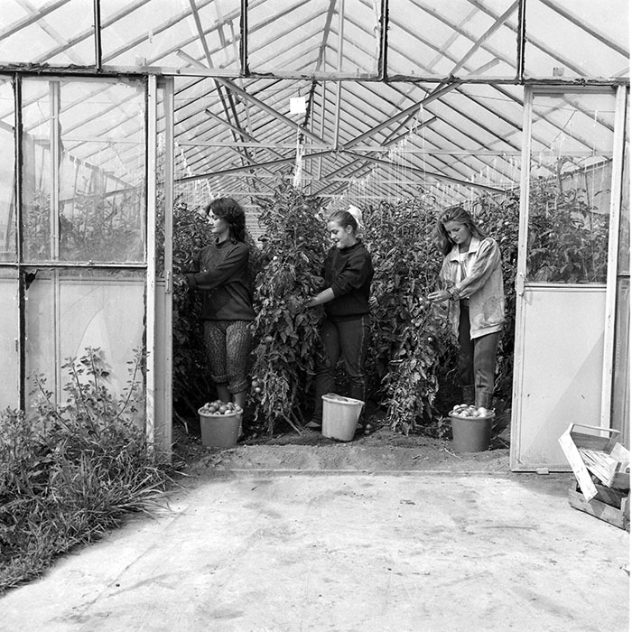 minerva_1985_c2_c3r1_032