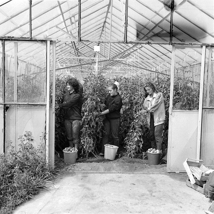 minerva_1985_c2_c3r1_033