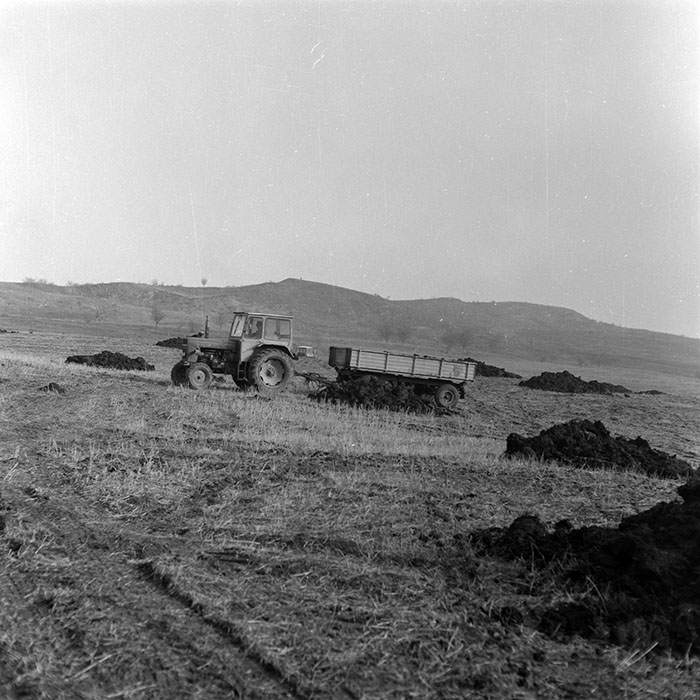 minerva_1985_c2_c3r2_003