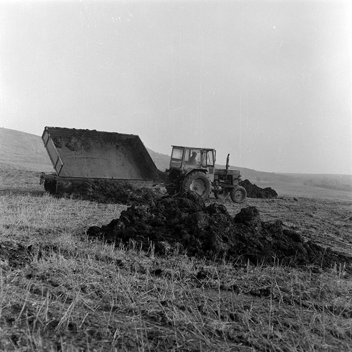 minerva_1985_c2_c3r2_004