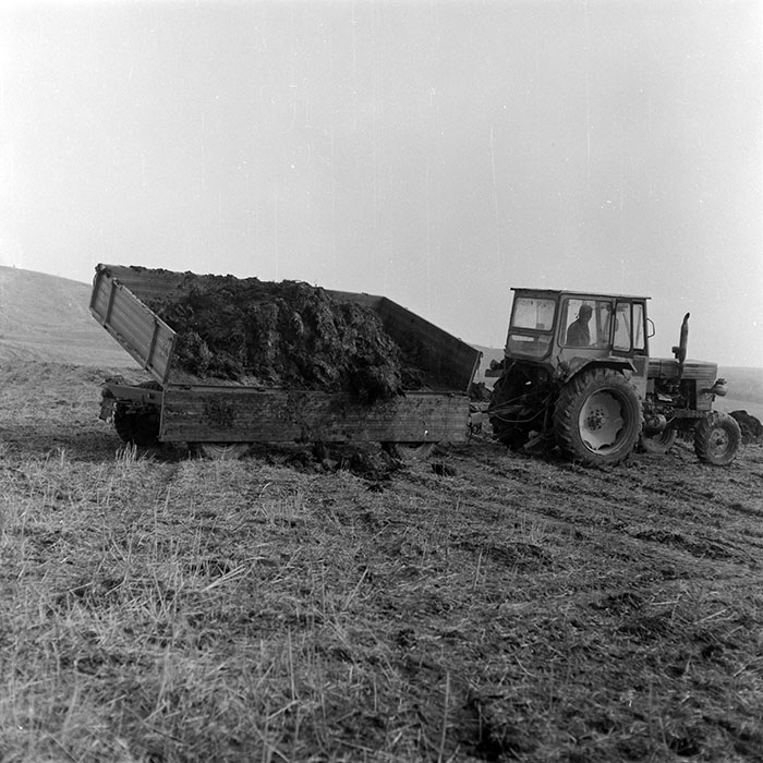 minerva_1985_c2_c3r2_005