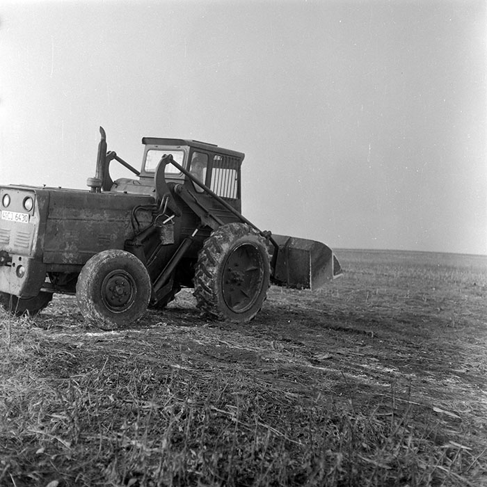 minerva_1985_c2_c3r2_008