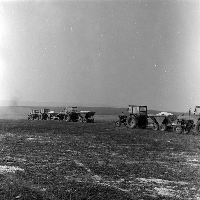 minerva_1985_c2_c3r2_009