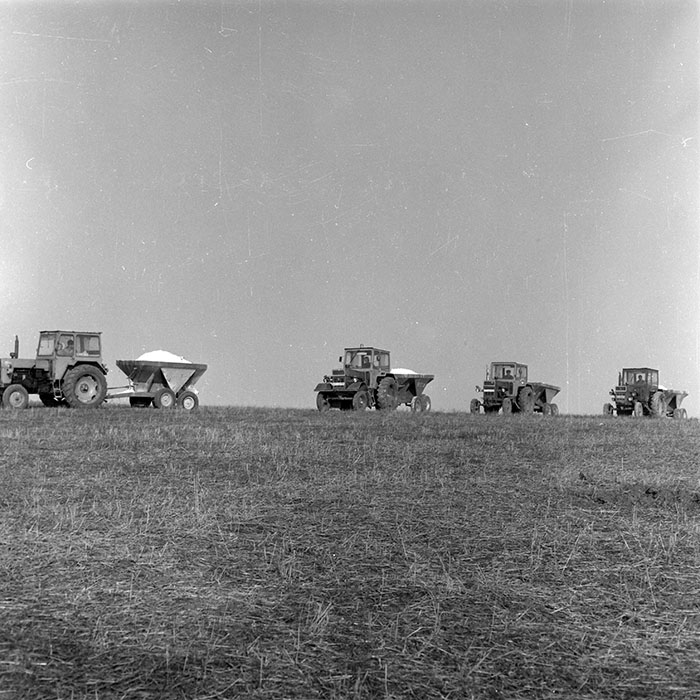 minerva_1985_c2_c3r2_011