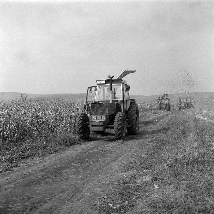 minerva_1985_c2_c3r2_013