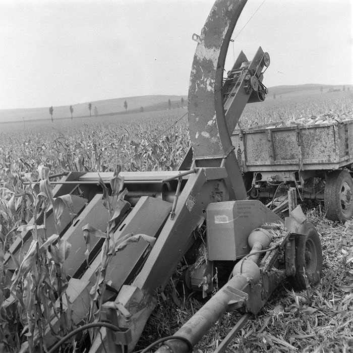 minerva_1985_c2_c3r2_014