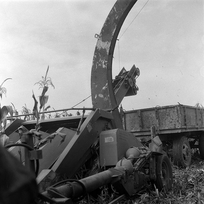 minerva_1985_c2_c3r2_015