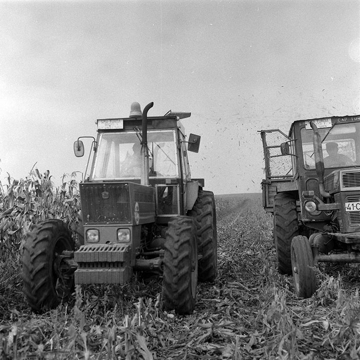 minerva_1985_c2_c3r2_016