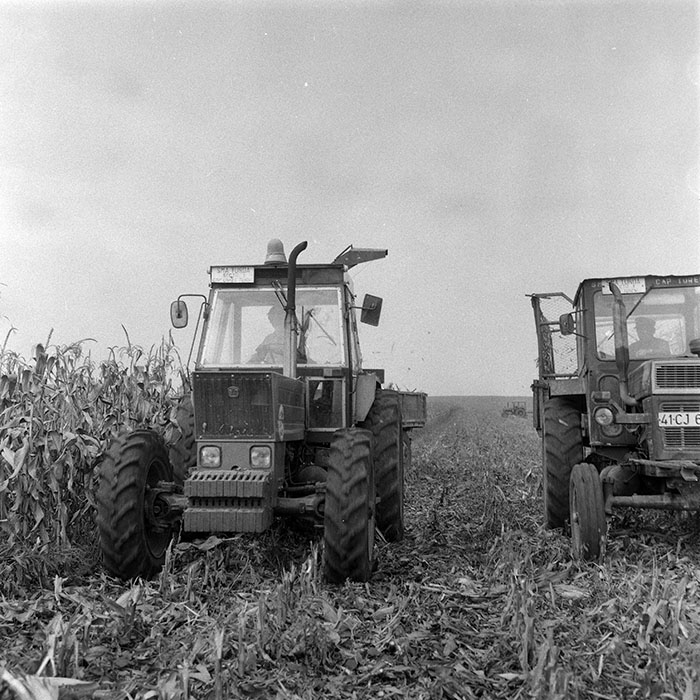 minerva_1985_c2_c3r2_017