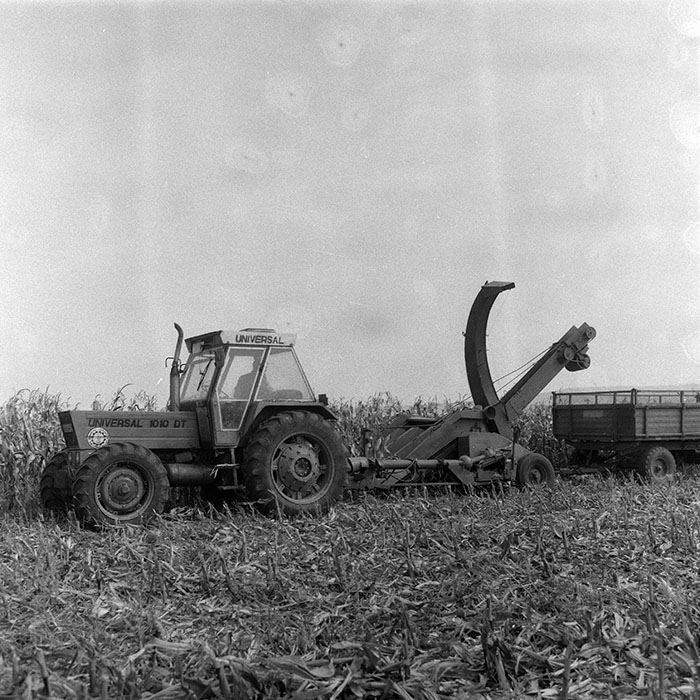 minerva_1985_c2_c3r2_018