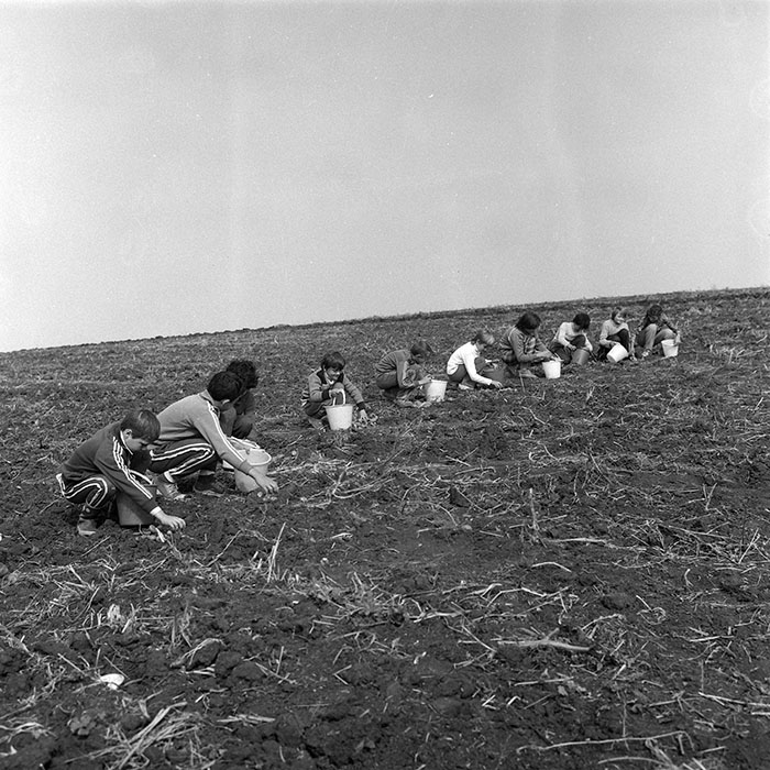 minerva_1985_c2_c3r2_019