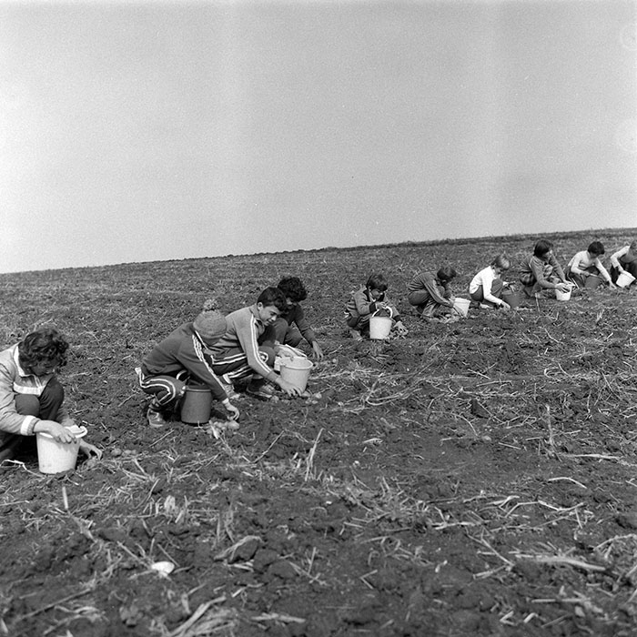 minerva_1985_c2_c3r2_020