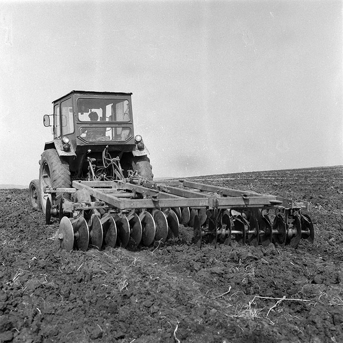 minerva_1985_c2_c3r2_022