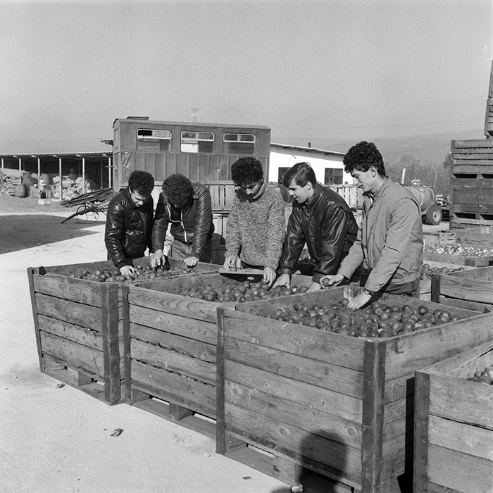 minerva_1985_c2_c3r2_025