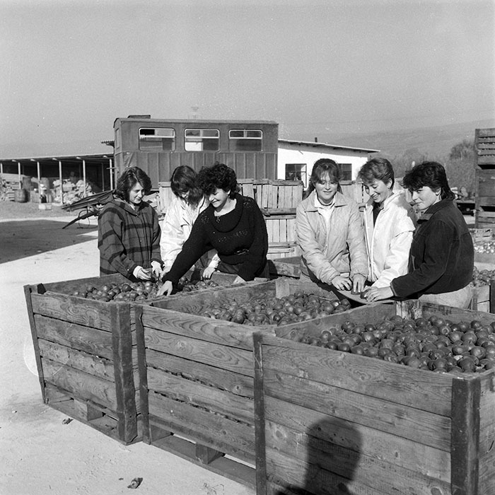 minerva_1985_c2_c3r2_026