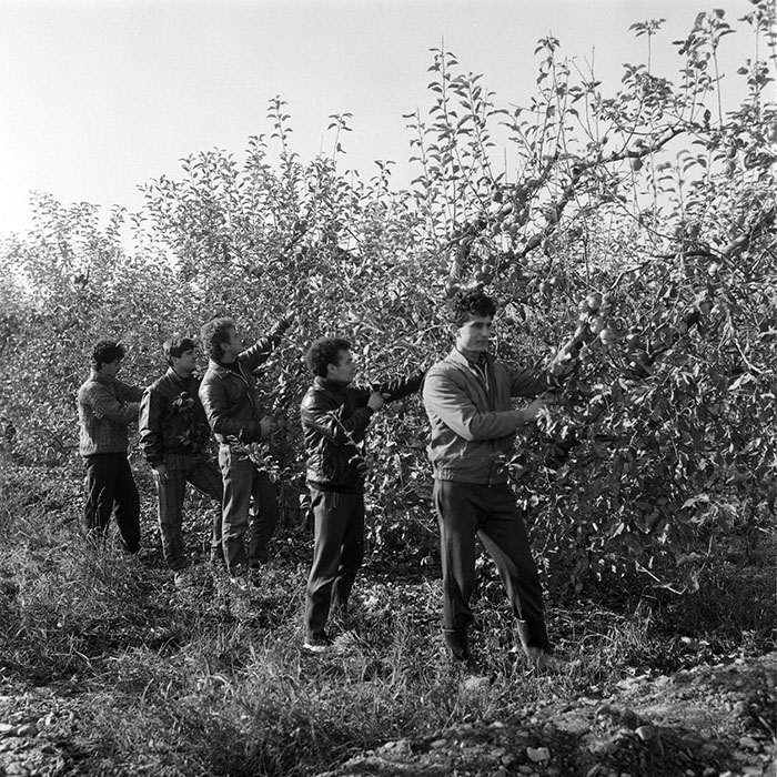 minerva_1985_c2_c3r2_027