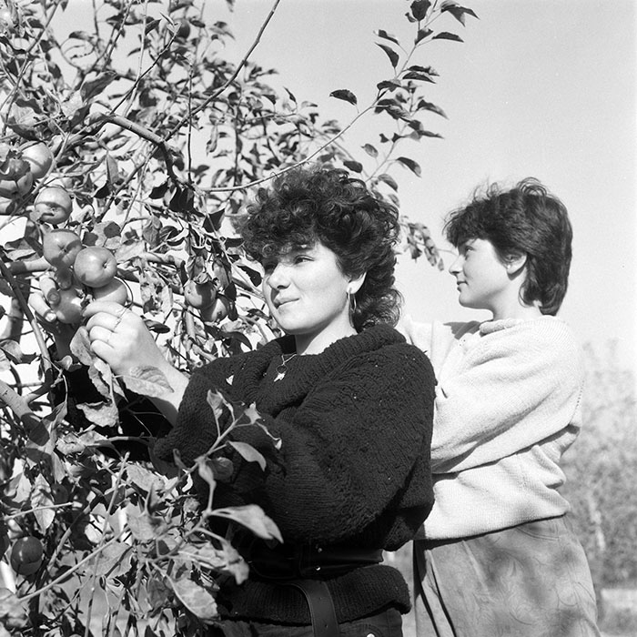 minerva_1985_c2_c3r2_028