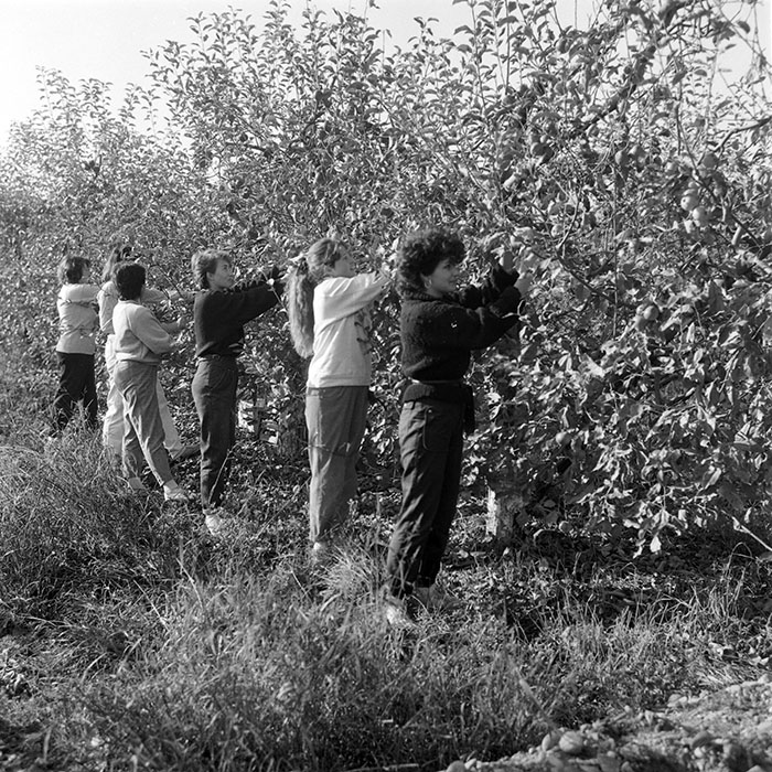 minerva_1985_c2_c3r2_029