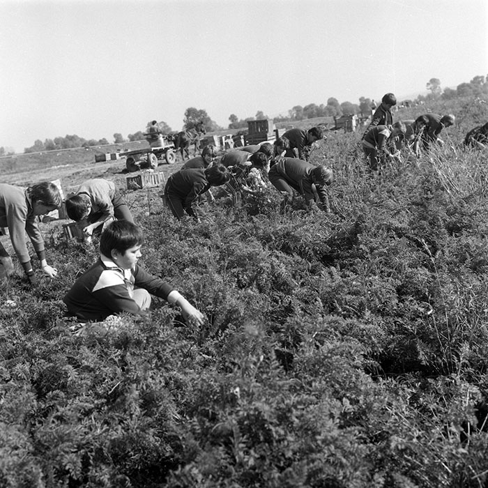 minerva_1985_c2_c3r2_030