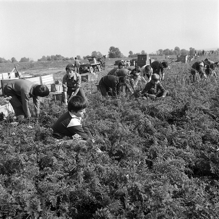 minerva_1985_c2_c3r2_031