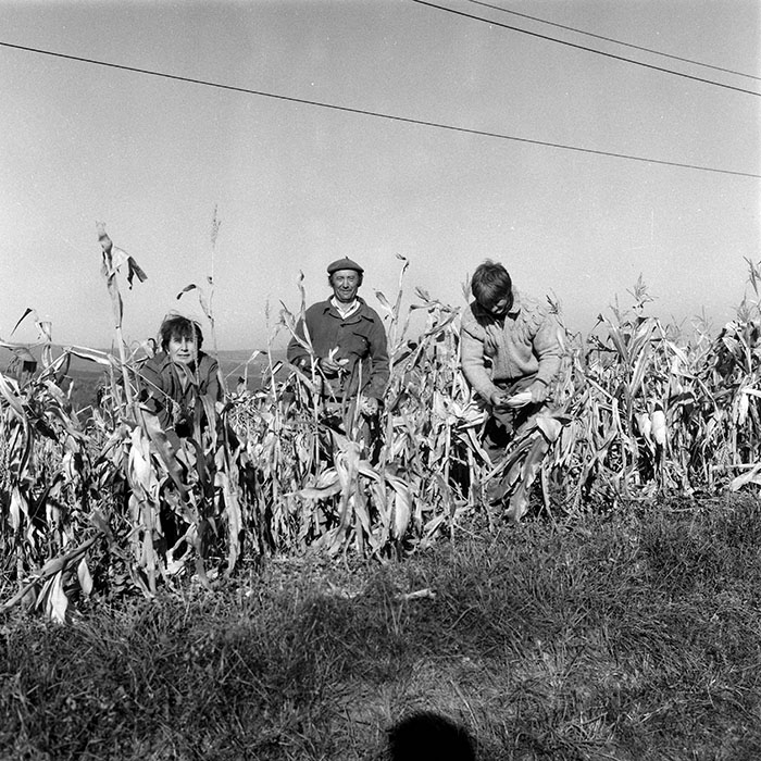 minerva_1985_c2_c3r2_033