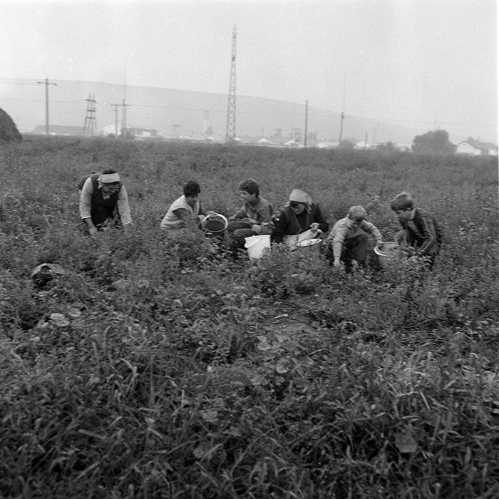 minerva_1985_c2_c3r2_047