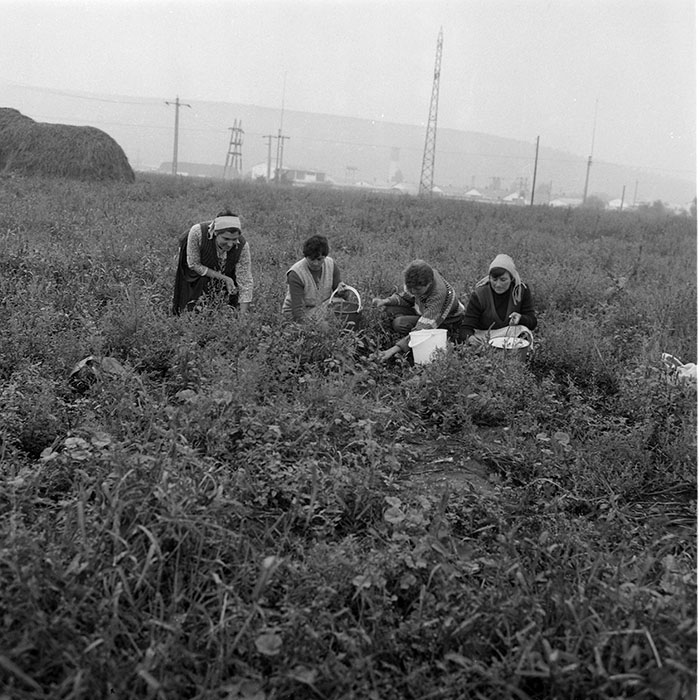 minerva_1985_c2_c3r2_048