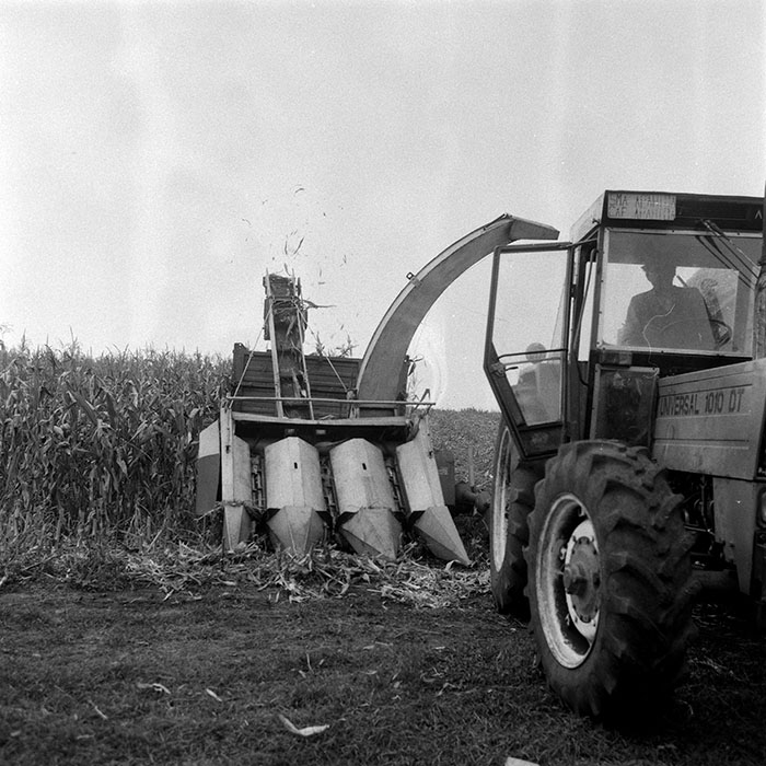 minerva_1985_c2_c3r3_005