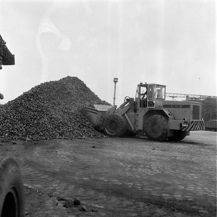 minerva_1985_c2_c3r3_010