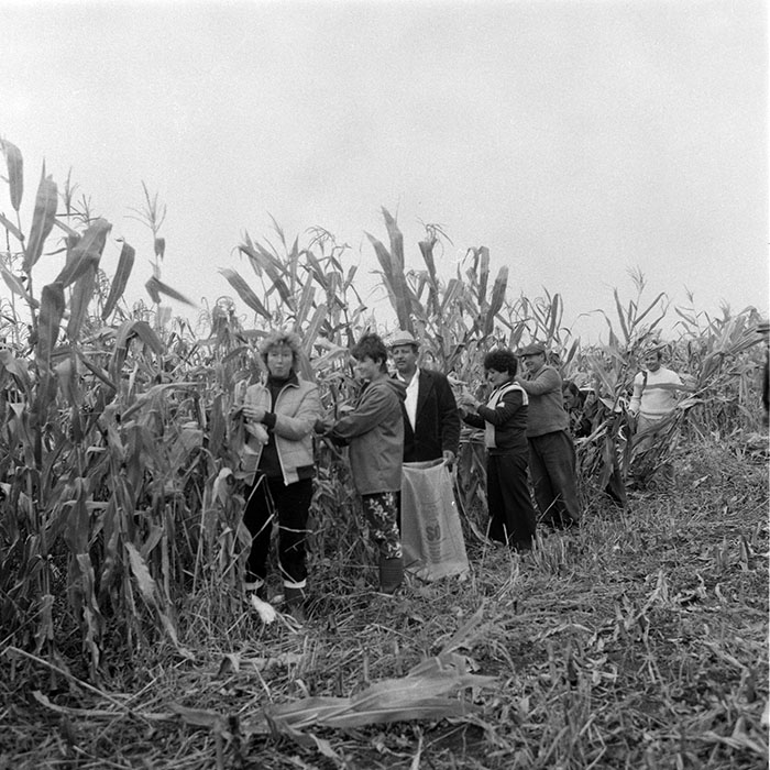 minerva_1985_c2_c3r3_014