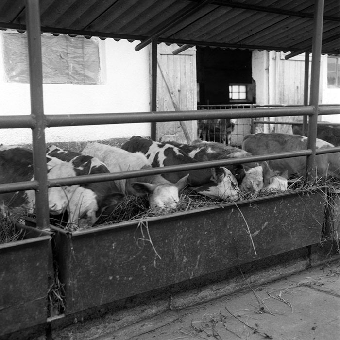 minerva_1985_c2_c3r3_024